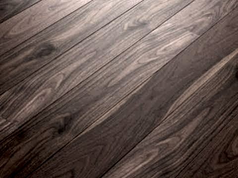 Dendro - Lamine Parke - A.Ceviz